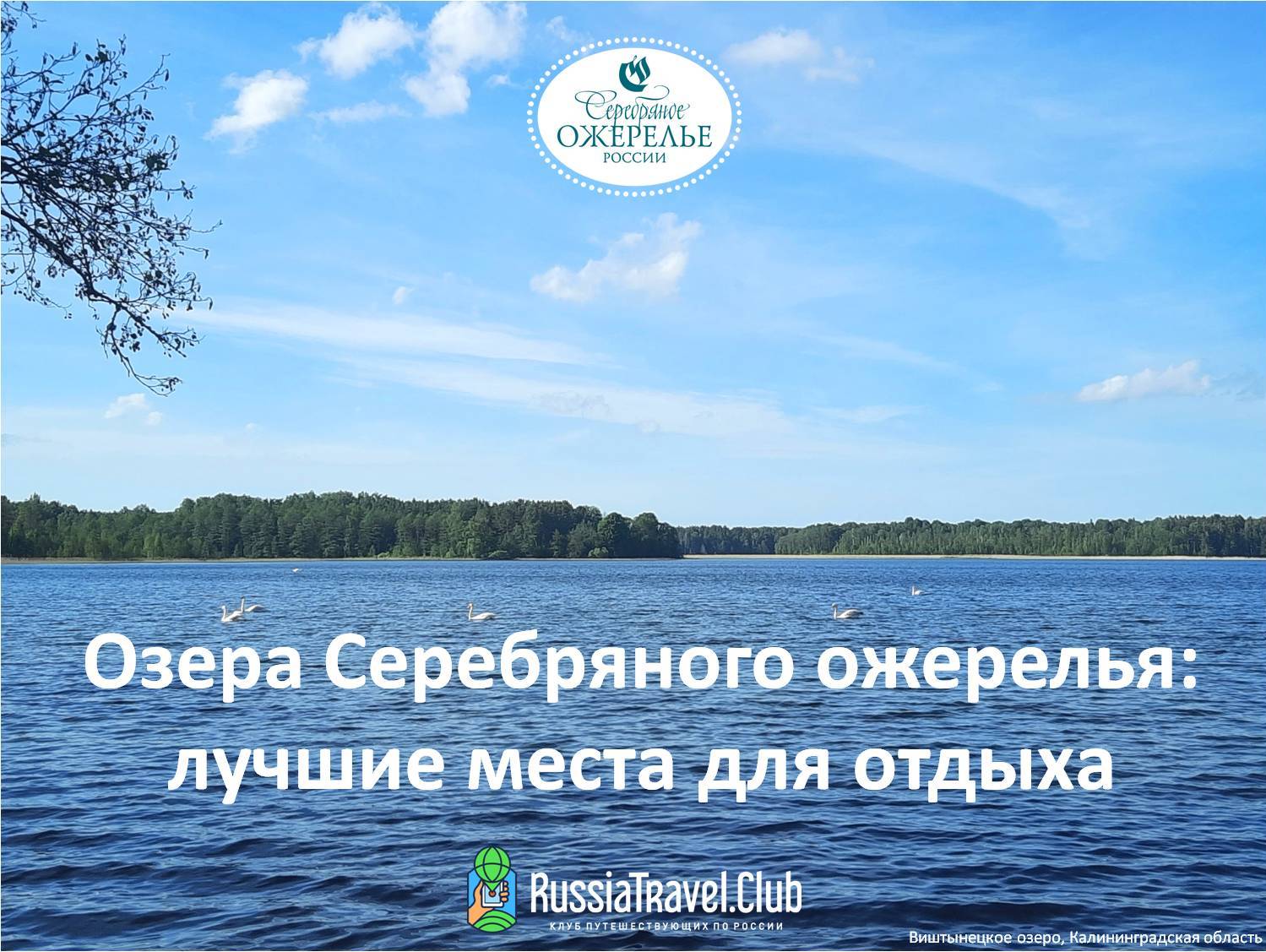 Водоемы и зоны отдыха: мини-гид по пляжам Московской области - Афиша Daily